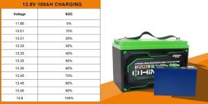 lifepo4-battery-12v-100ah-soc