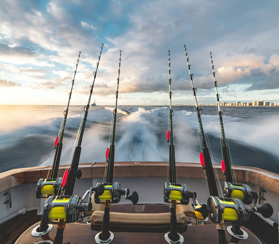 微信图片_20250901104502_162_998