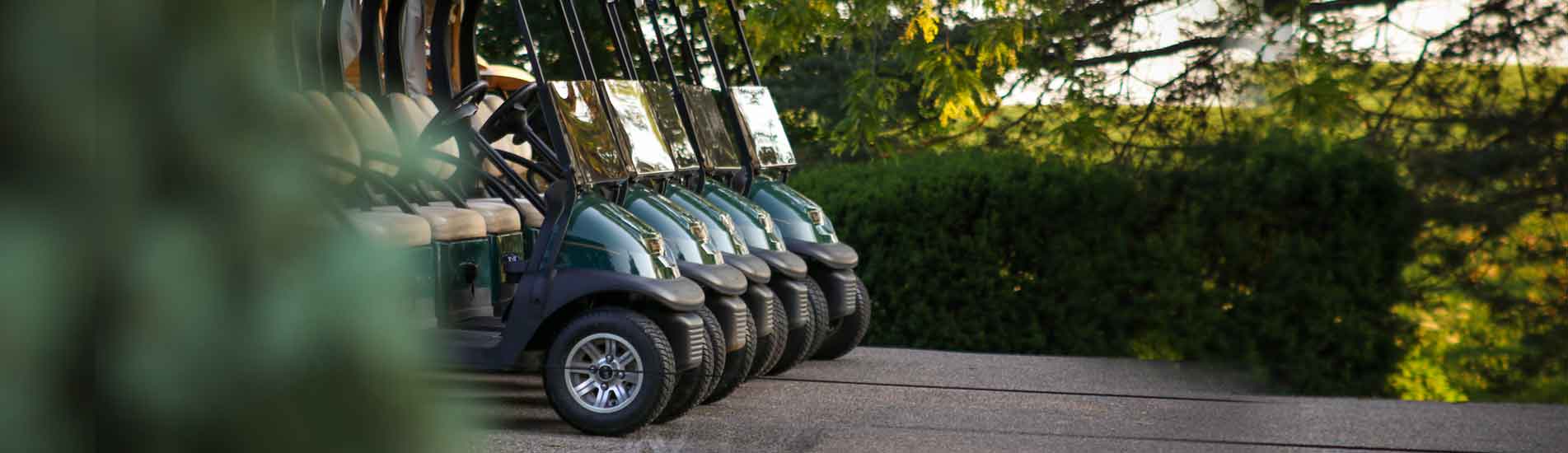 Golf-cart