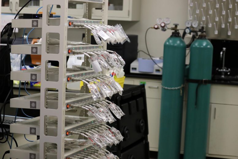 Yu Advanced Electrode Material Lab